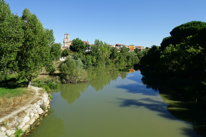 Pesquera de Duero 2